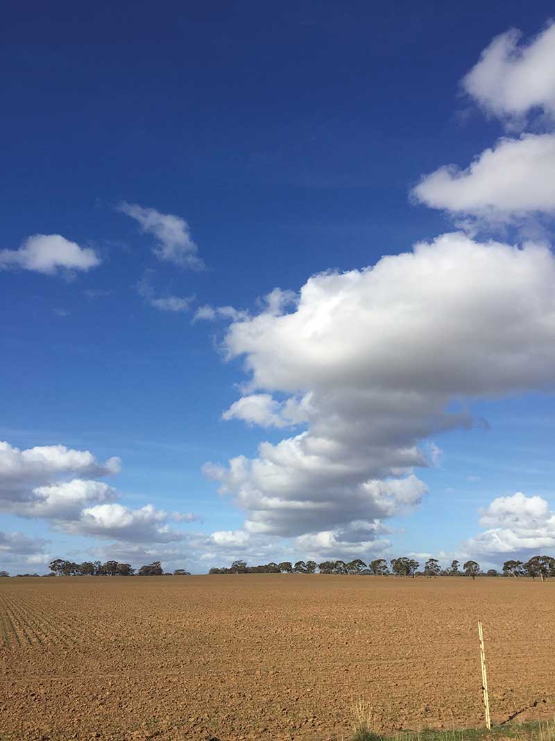 Bendigo GC Raywood cloud street