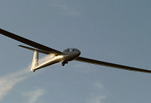 Tonkin 1140058